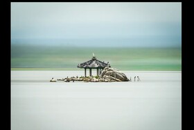 This New Technique Saved My Photography | Fine Art Photography
