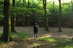 Transform Summer Landscapes: Master Dramatic Minimalist Long Len