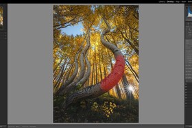 I Stopped Editing the Hard Way in Lightroom