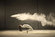 Jeffrey Vanhoutte: Tanečnica a prach zamrznuté v čase