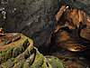 Hang-Son-Doong-Cave-Watch-Out-For-Dinosaurs-2.jpg