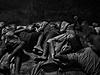 © Mário Cruz - Talibes, Modern-day Slaves 03.jpg