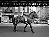 street-photos-new-york-1950s-vivian-maier-10.jpg