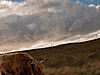 Skotsko2012-8658.jpg