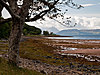 Skotsko2012-8897.jpg