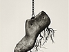 chema-madoz-photographyC26.jpg