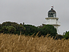 Zealand Tucniaky-67.jpg