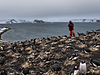 © Daniel Berehulak - An Antarctic Advantage 03.jpg