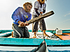 024-Halasz_NIKON-006-Nota bene tomas halasz shark fishing oman.jpg