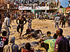 © Christian Bobst - The Gris-gris Wrestlers of Senegal 02.jpg