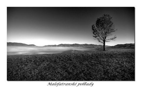 www.ephoto.sk