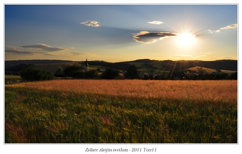 Bratislavskí fotografi divokej prírody