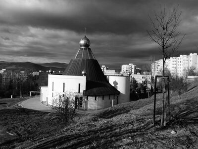 Bratislavskí fotografi divokej prírody